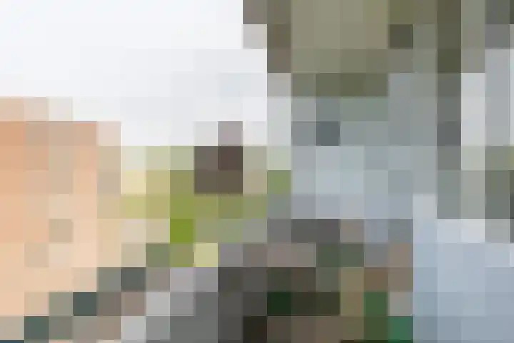 van Goyenlaan 76 Soest thumbnail 16