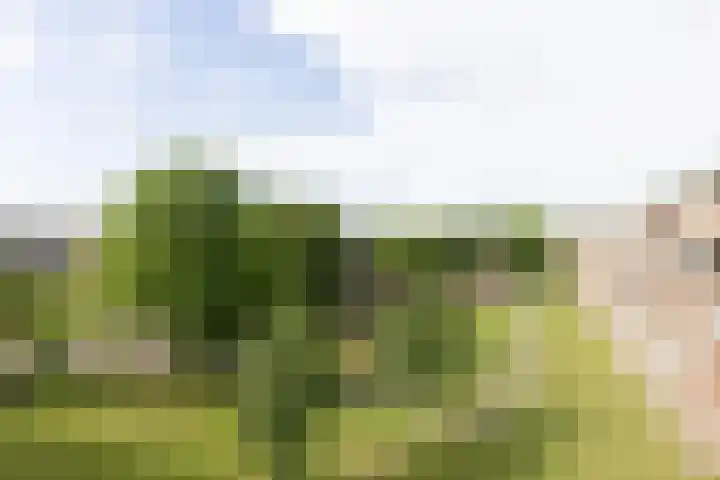 van Goyenlaan 76 Soest foto 2