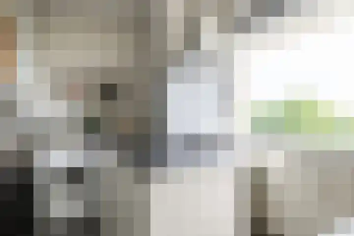 van Goyenlaan 76 Soest thumbnail 21