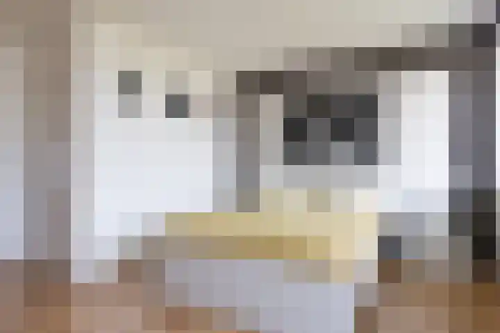 van Goyenlaan 76 Soest thumbnail 23
