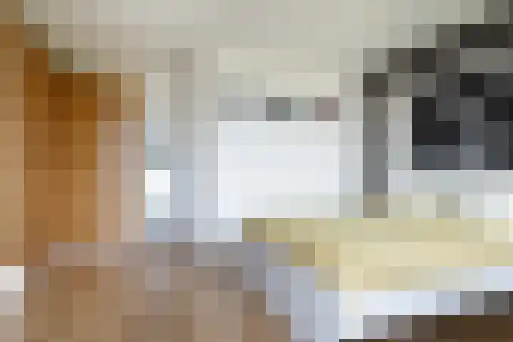 van Goyenlaan 76 Soest thumbnail 24
