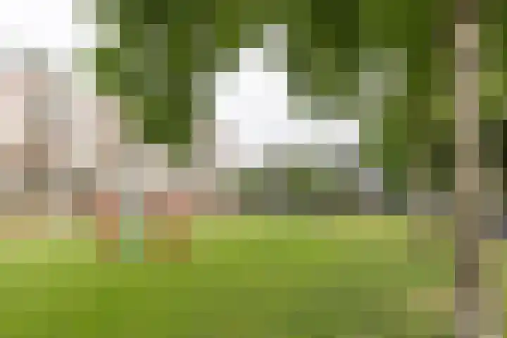 van Goyenlaan 76 Soest thumbnail 30