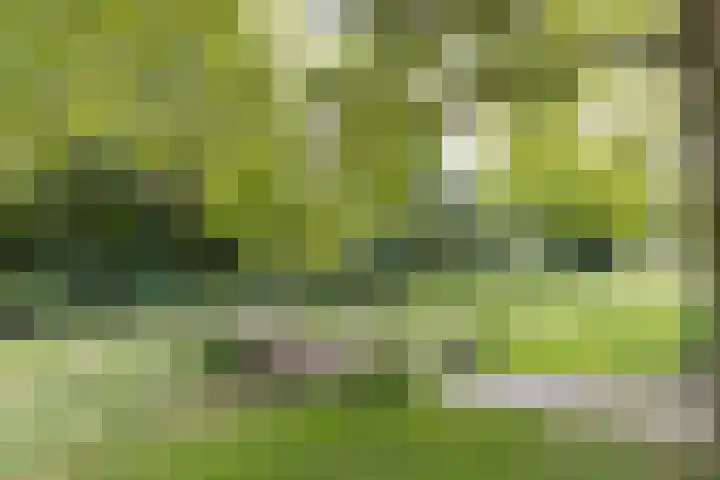 van Goyenlaan 76 Soest thumbnail 31