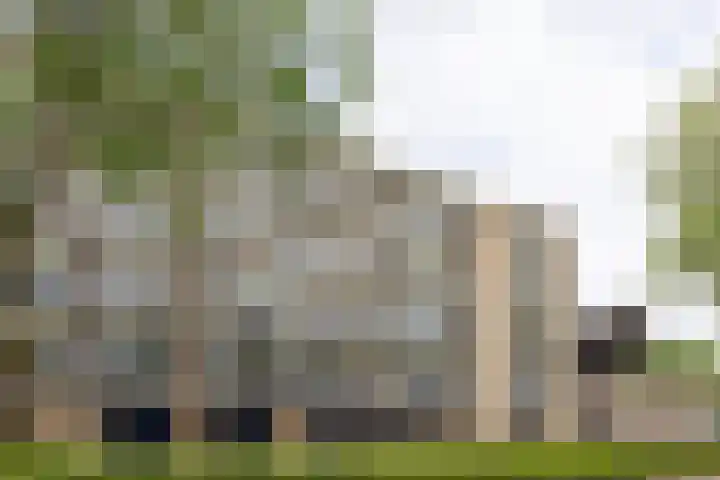 van Goyenlaan 76 Soest thumbnail 5