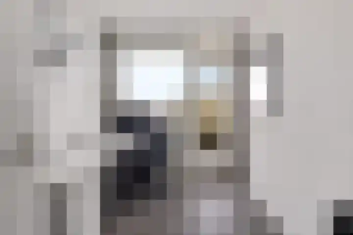 van Goyenlaan 82 Soest thumbnail 24