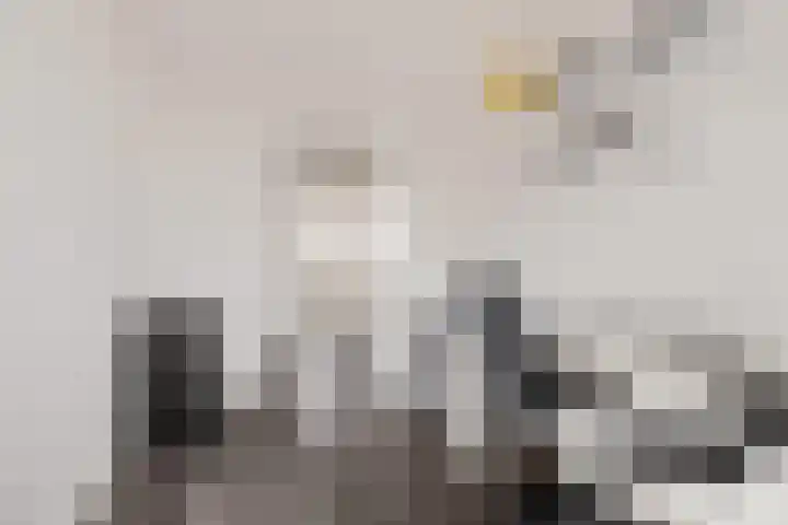 van Goyenlaan 82 Soest thumbnail 25
