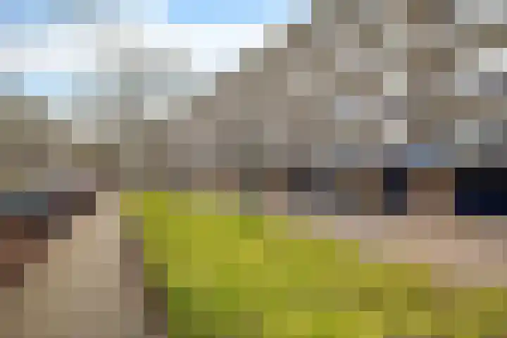 van Goyenlaan 82 Soest thumbnail 6
