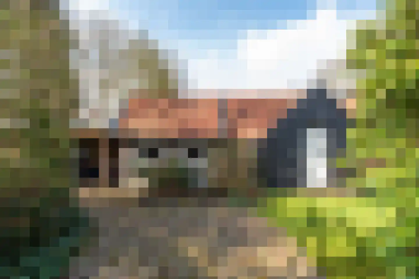 Van Goyenlaan 9 Bilthoven thumbnail 26