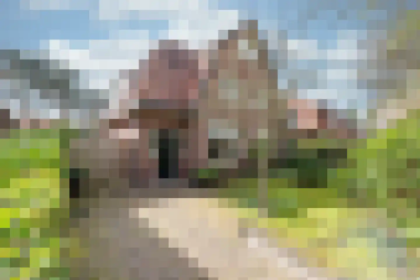Van Goyenlaan 9 Bilthoven foto 3