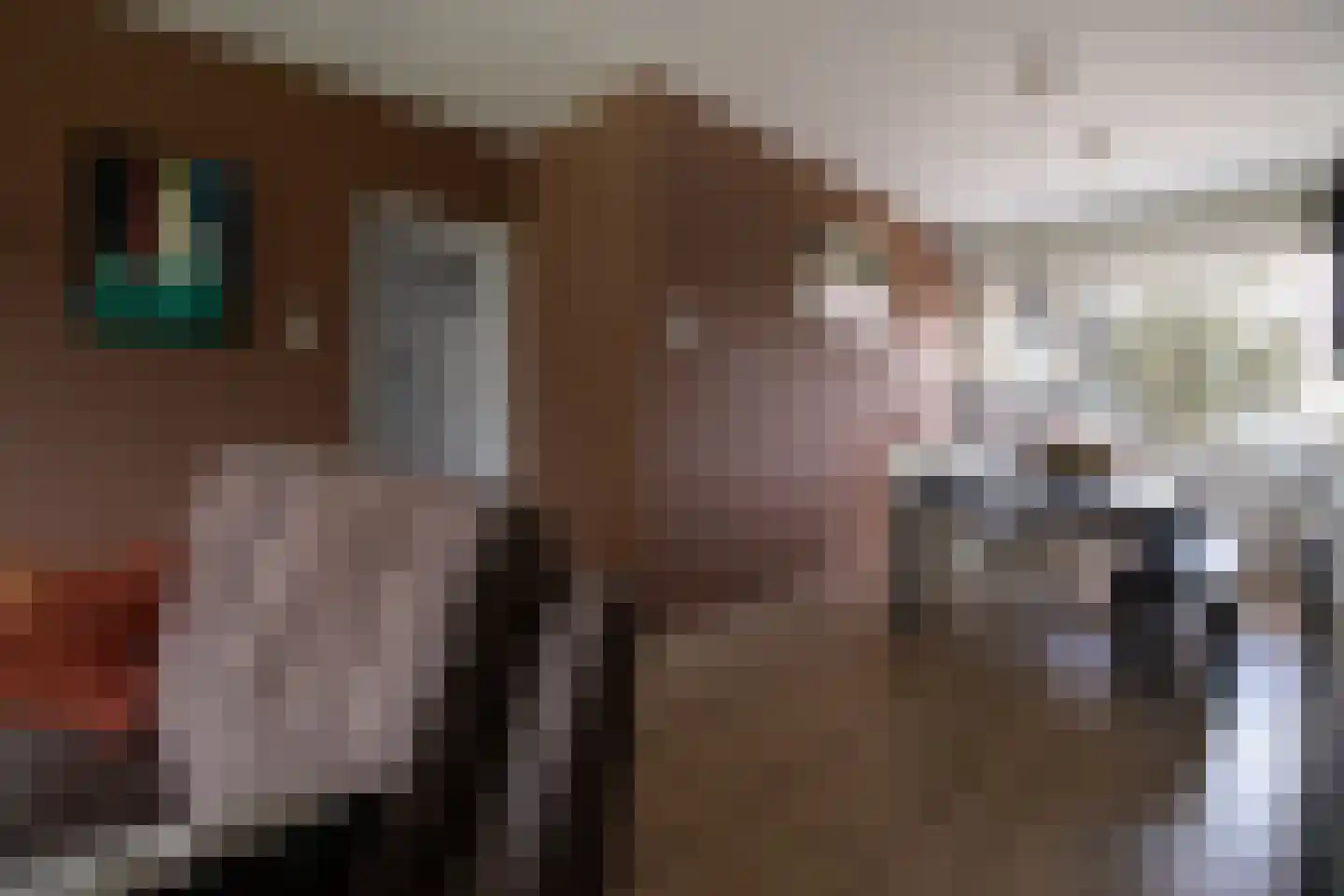 van Goyenlaan 94 Soest thumbnail 12