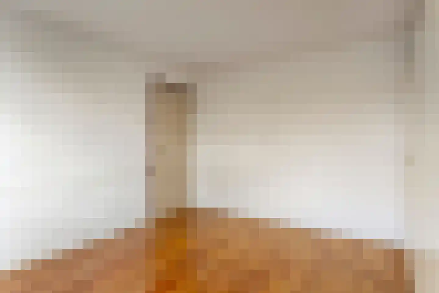 van Goyenstraat 19 Oud-Beijerland thumbnail 16