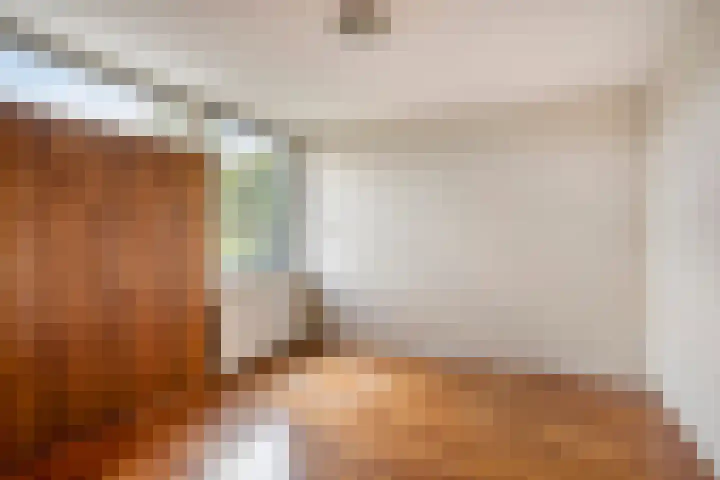 van Goyenstraat 19 Oud-Beijerland thumbnail 20