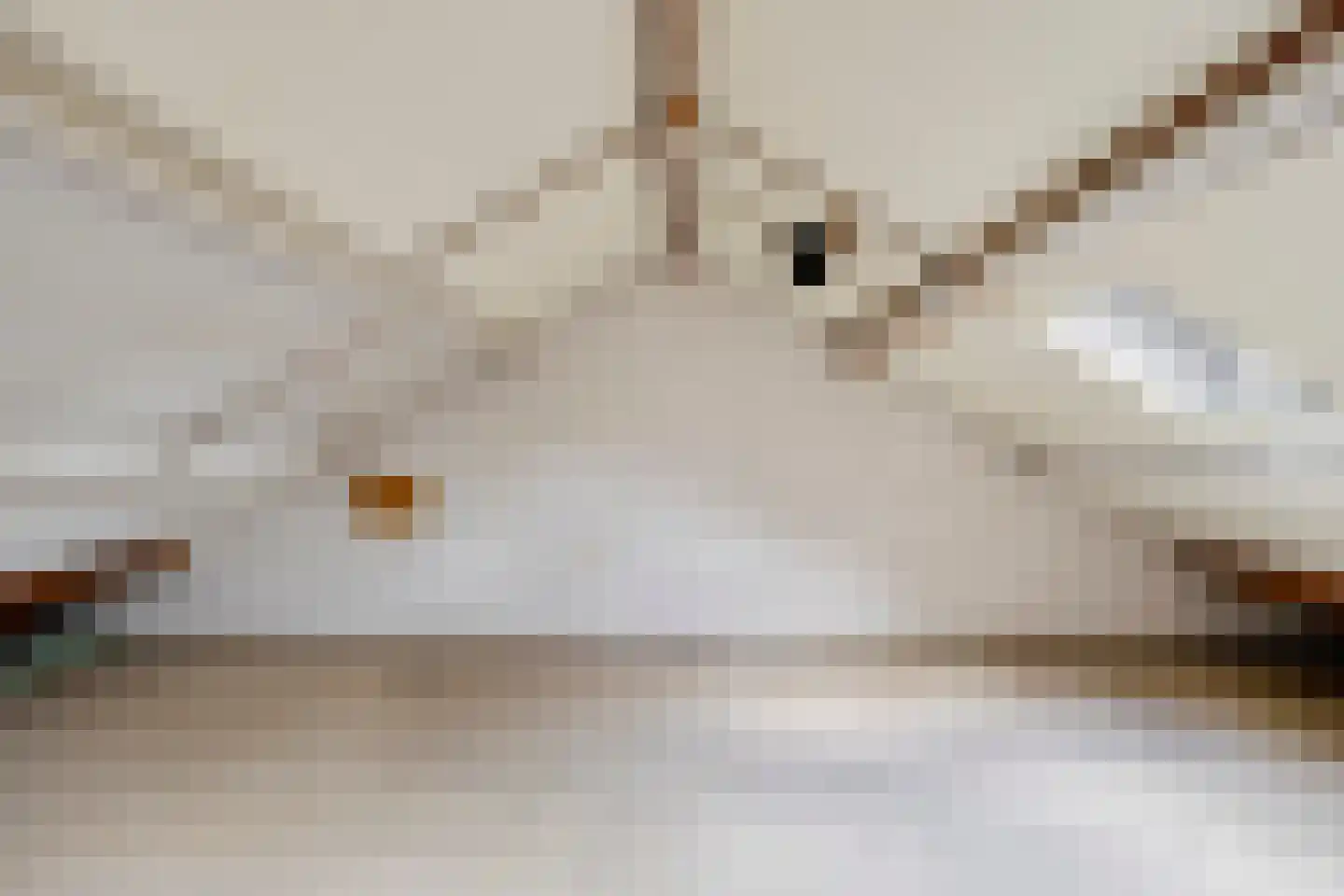 van Goyenstraat 19 Oud-Beijerland thumbnail 26