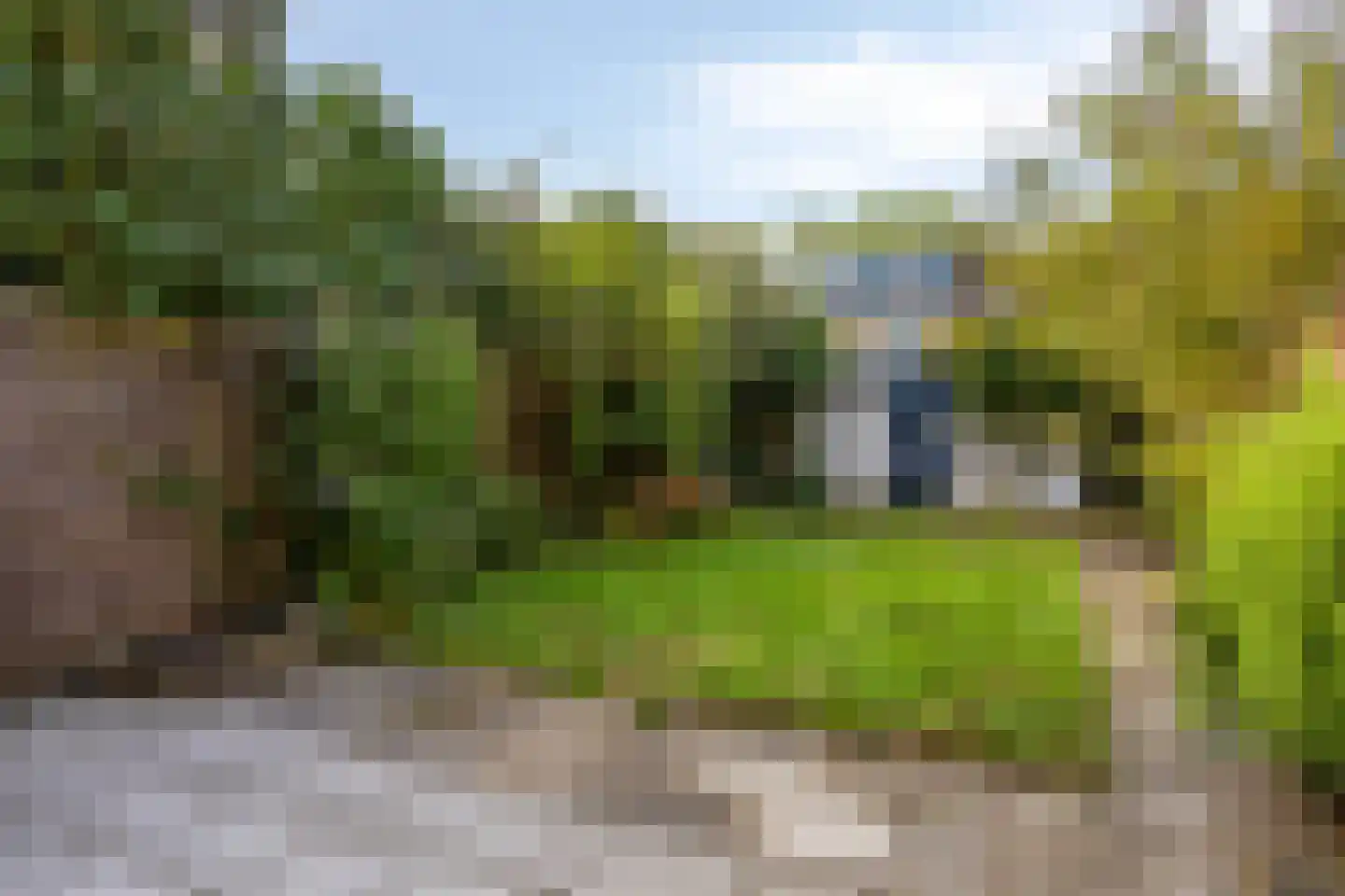 van Goyenstraat 19 Oud-Beijerland thumbnail 28