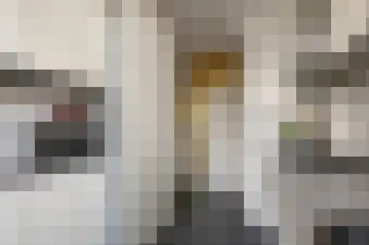 van Goyenstraat 4 Heemskerk thumbnail 11