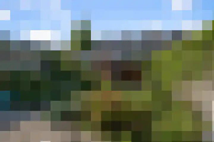 van Goyenstraat 4 Heemskerk thumbnail 13
