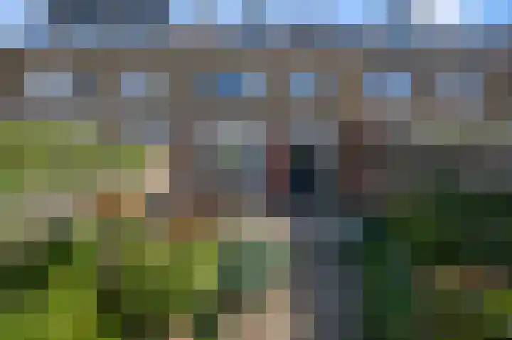van Goyenstraat 4 Heemskerk thumbnail 14