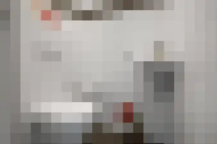 van Goyenstraat 4 Heemskerk thumbnail 15