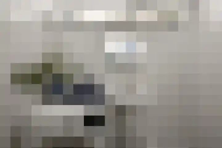 van Goyenstraat 4 Heemskerk thumbnail 26