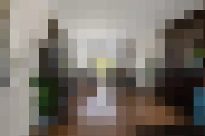 van Goyenstraat 4 Heemskerk thumbnail 6