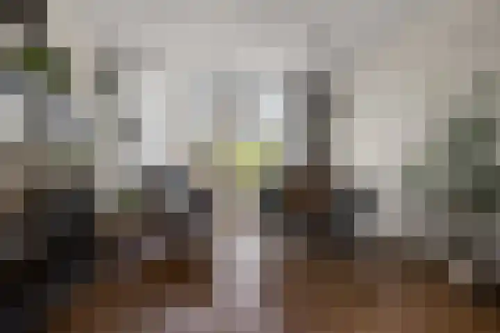 van Goyenstraat 4 Heemskerk thumbnail 7