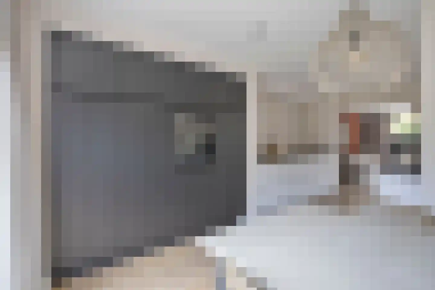 van Goyenstraat 50 Duiven thumbnail 24