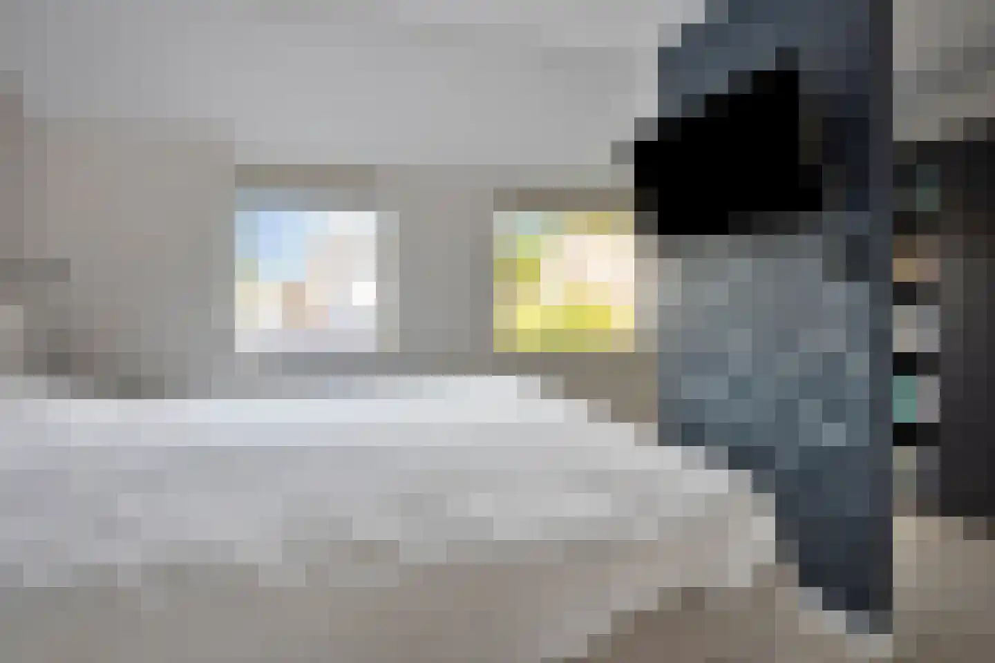 van Goyenstraat 50 Duiven thumbnail 32