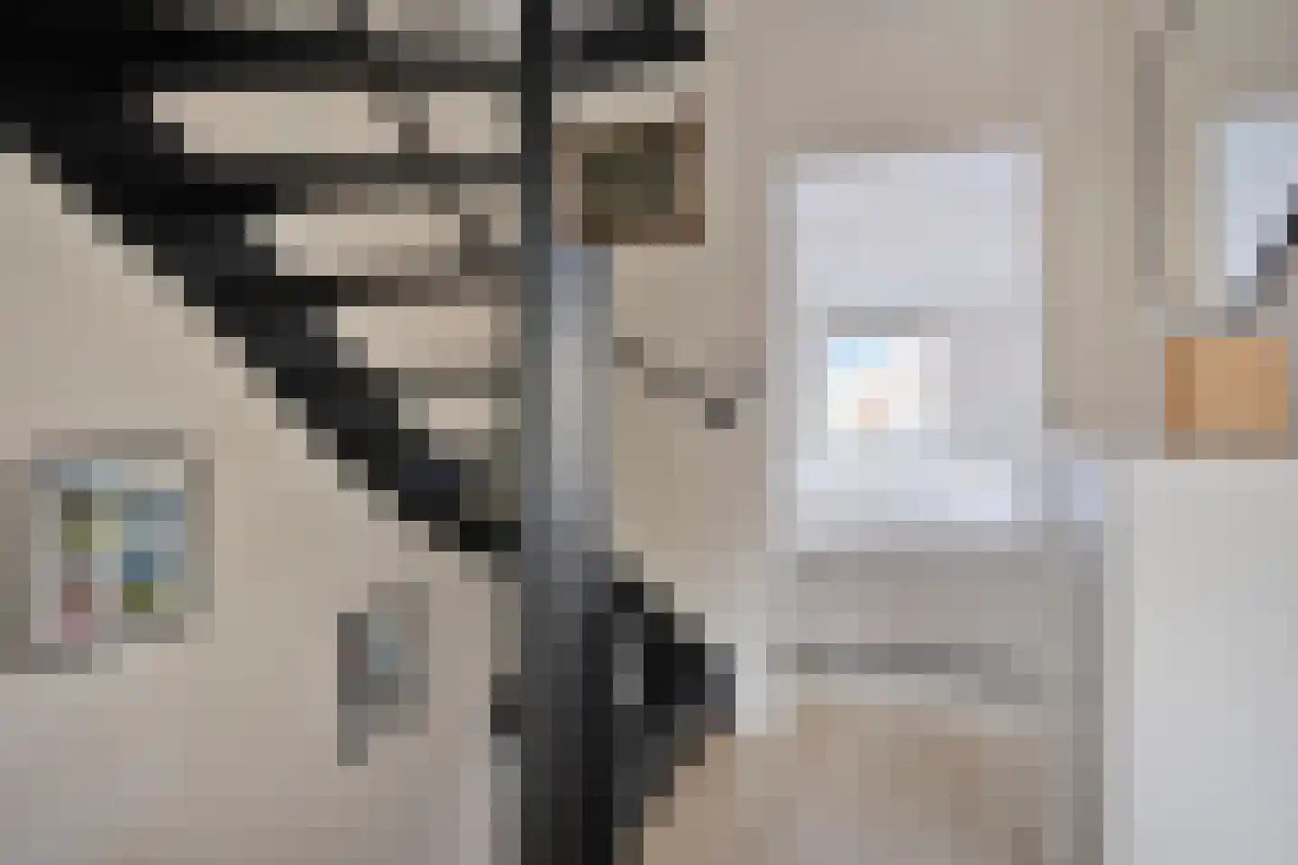 van Goyenstraat 50 Duiven thumbnail 34