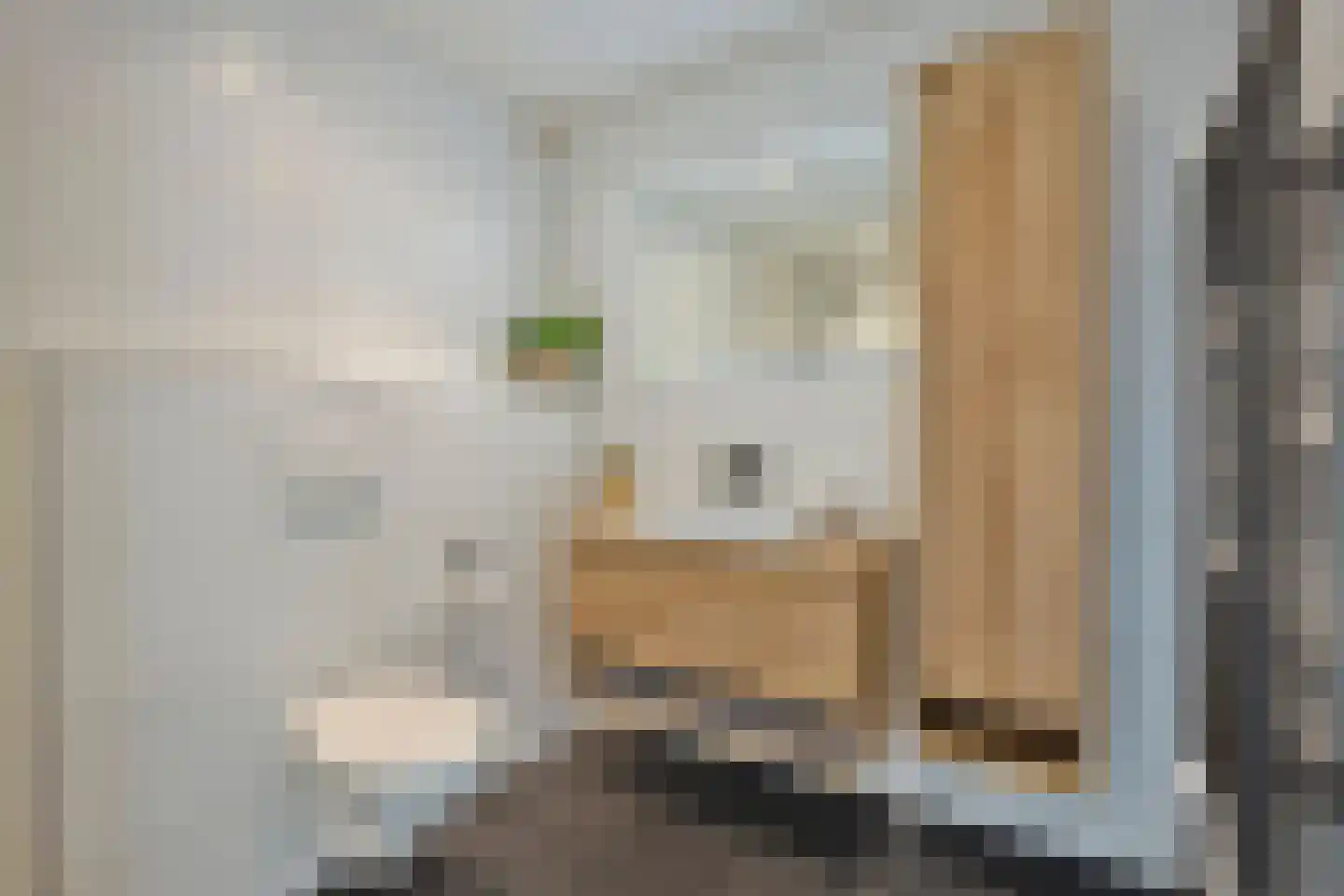 van Goyenstraat 50 Duiven thumbnail 36