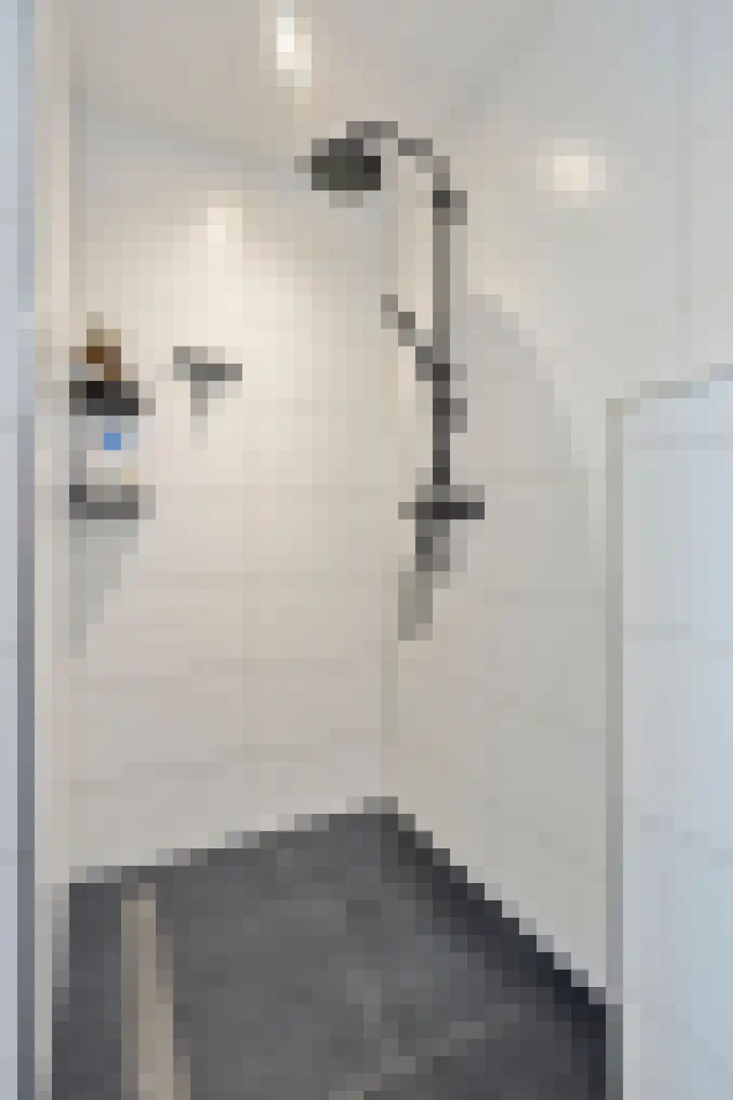 van Goyenstraat 50 Duiven thumbnail 37