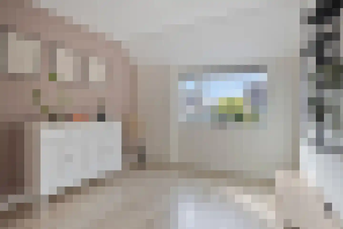 van Goyenstraat 50 Duiven thumbnail 40