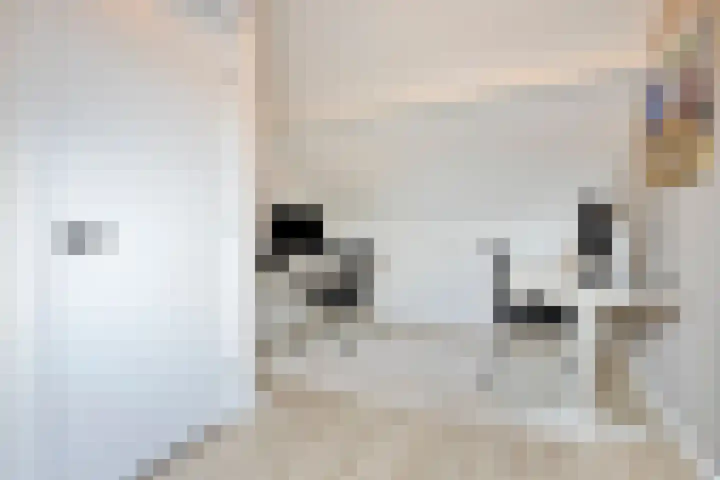 van Goyenstraat 50 Duiven thumbnail 43