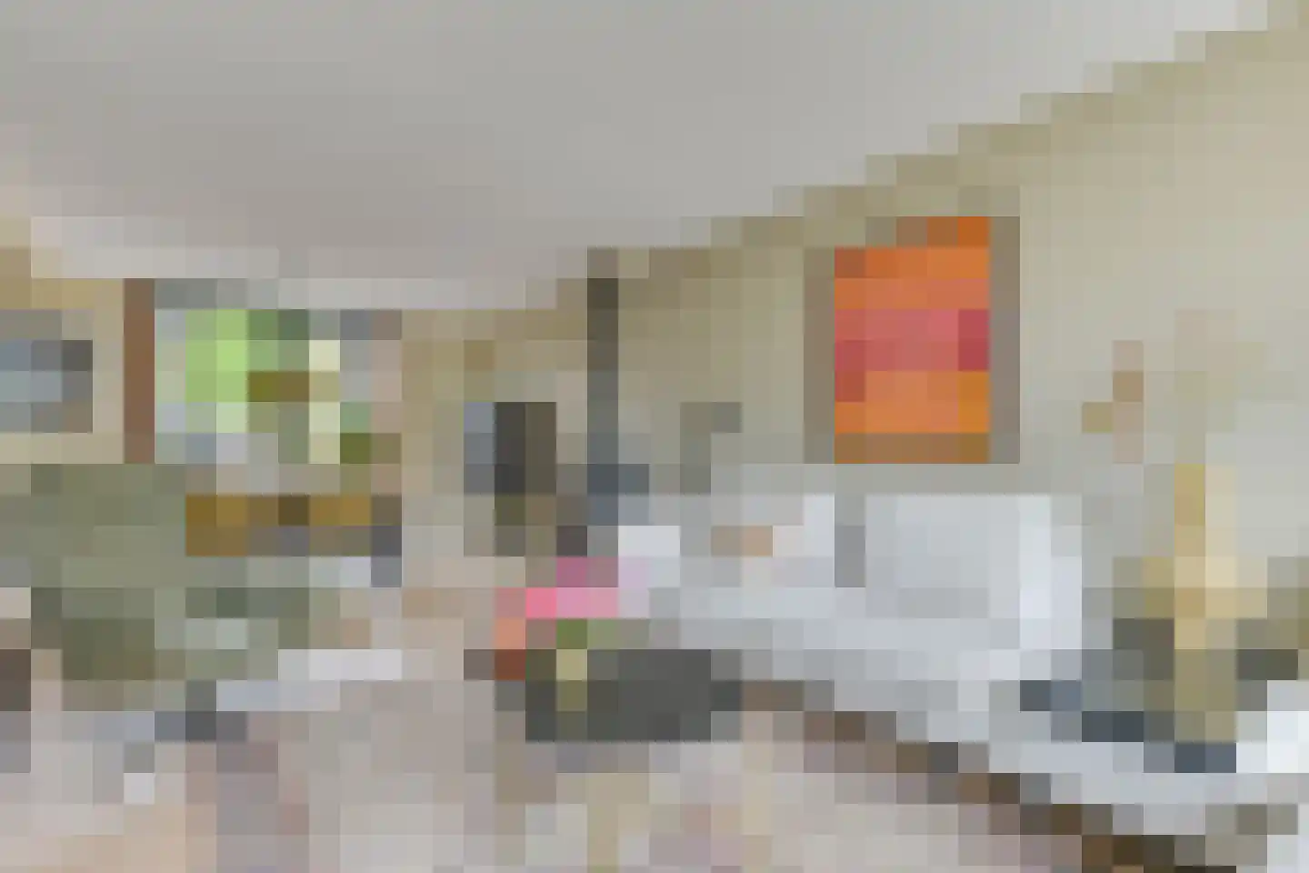van Goyenstraat 6 Heemskerk thumbnail 10