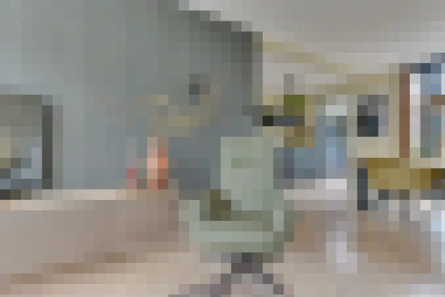 van Goyenstraat 6 Heemskerk thumbnail 13