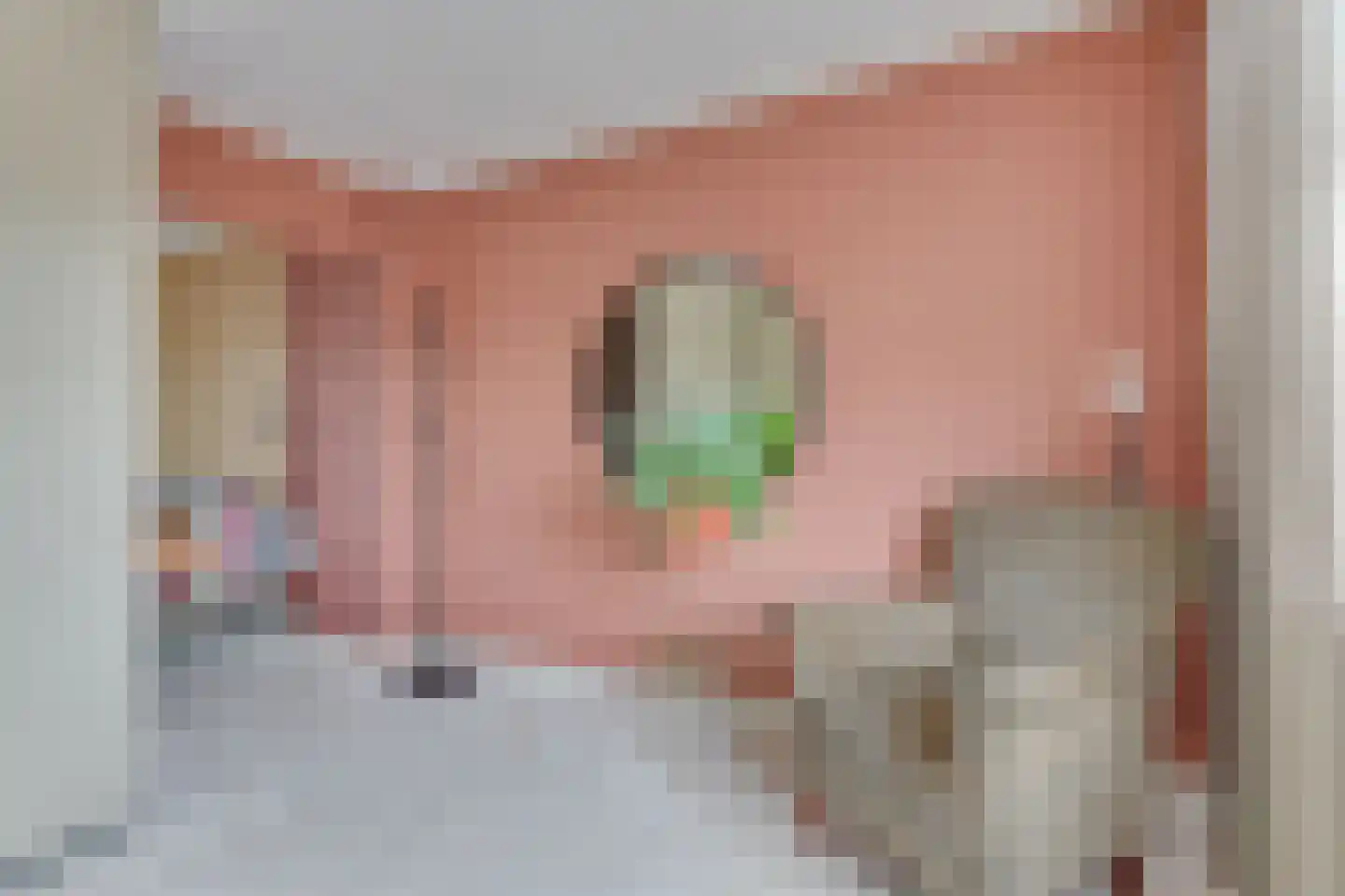 van Goyenstraat 6 Heemskerk thumbnail 27