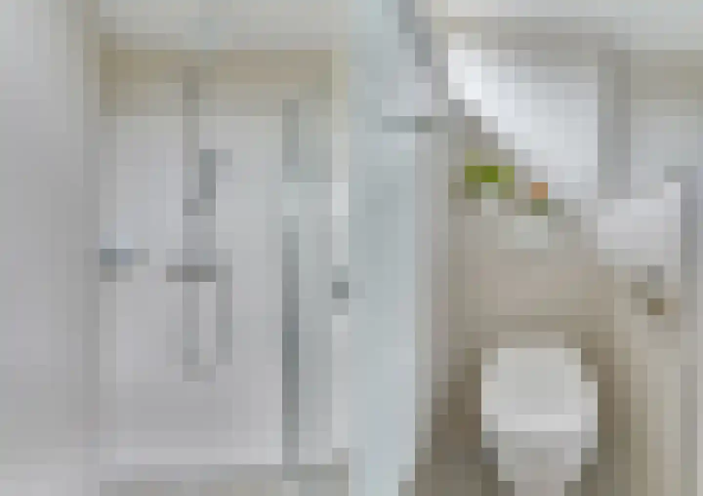 van Goyenstraat 6 Heemskerk thumbnail 31