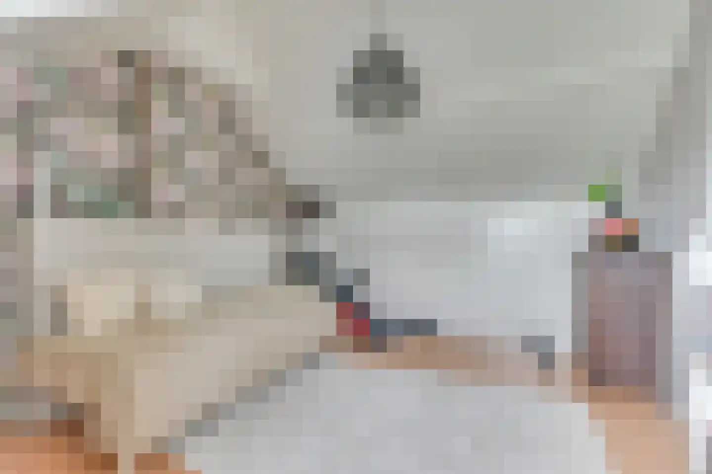 van Goyenstraat 6 Heemskerk thumbnail 39