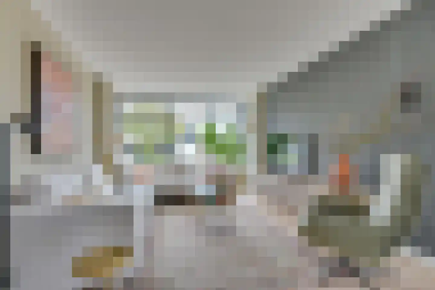 van Goyenstraat 6 Heemskerk thumbnail 8