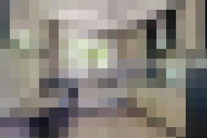 van Goyenstraat 66 Duiven thumbnail 13