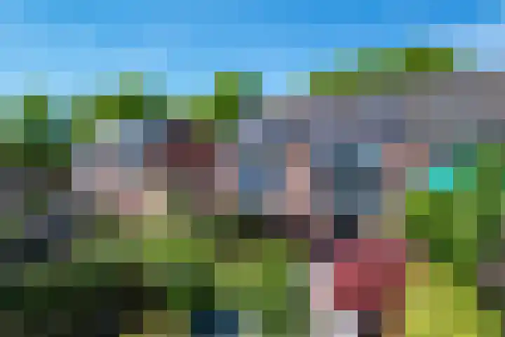 van Goyenstraat 66 Duiven thumbnail 20