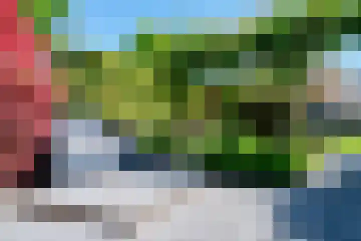van Goyenstraat 66 Duiven thumbnail 23