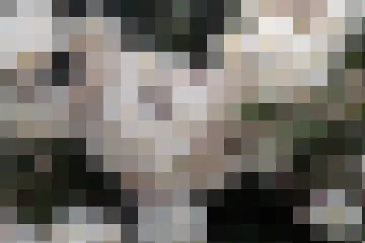 van Goyenstraat 66 Duiven thumbnail 25