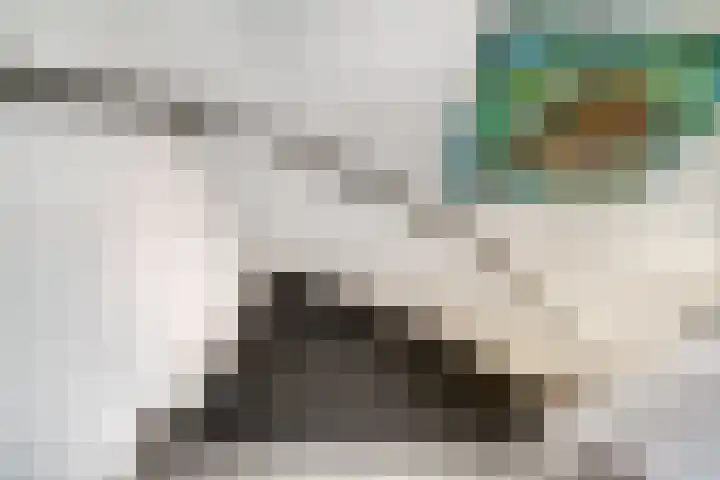 van Goyenstraat 66 Duiven thumbnail 31