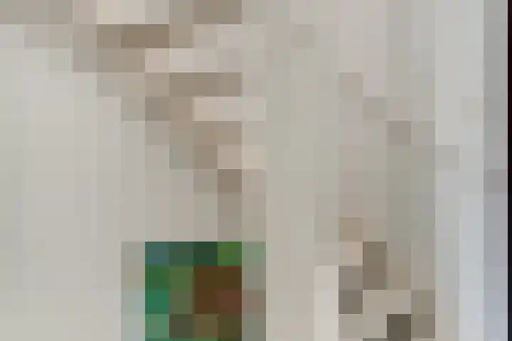 van Goyenstraat 66 Duiven thumbnail 32