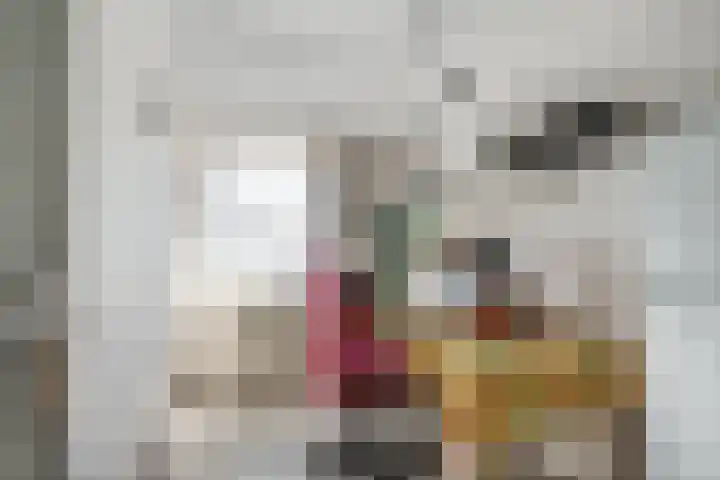 van Goyenstraat 66 Duiven thumbnail 33