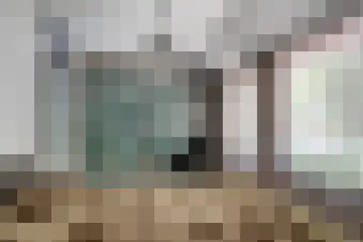 van Goyenstraat 66 Duiven thumbnail 36
