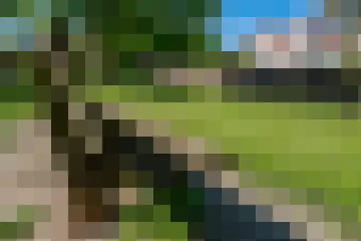van Goyenstraat 66 Duiven thumbnail 44