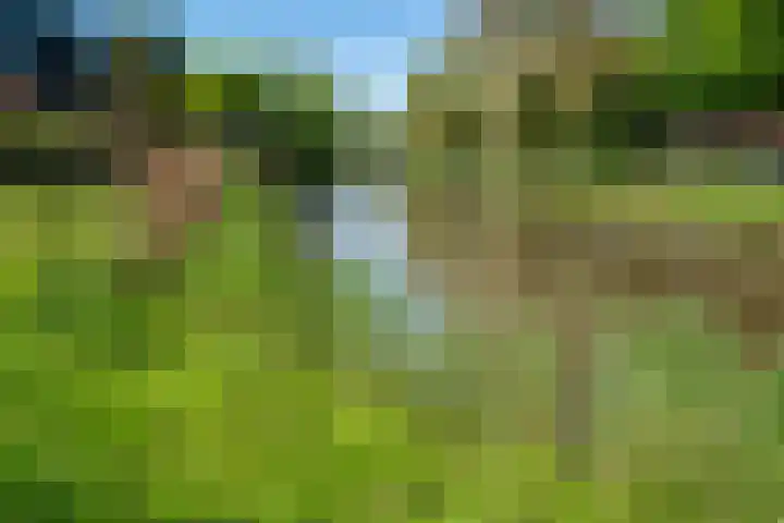 van Goyenstraat 66 Duiven thumbnail 45