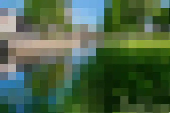 van Goyenstraat 66 Duiven thumbnail 46