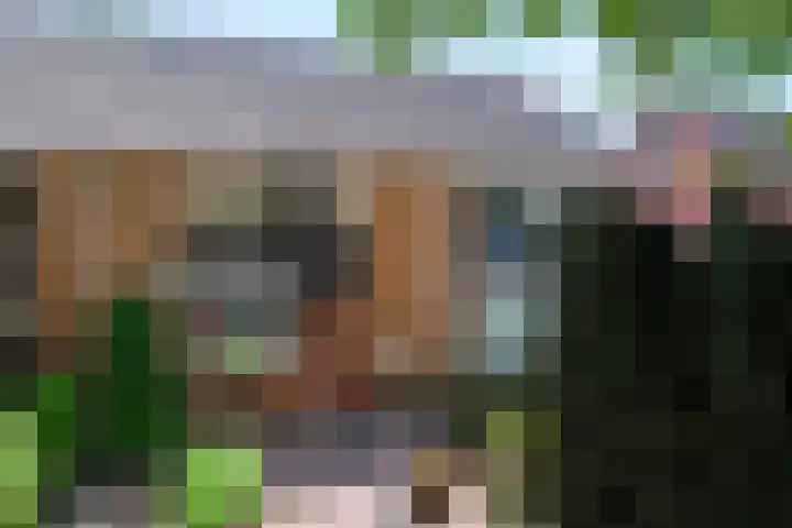 van Goyenstraat 66 Duiven thumbnail 5